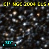 Cl* NGC 2004    ELS      64