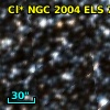 Cl* NGC 2004    ELS      73