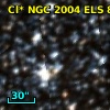 Cl* NGC 2004    ELS      81