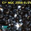 Cl* NGC 2004    ELS      85