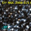 Cl* NGC 2004    ELS      86