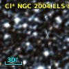Cl* NGC 2004    ELS      88