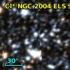 Cl* NGC 2004    ELS      92