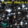 Cl* NGC 2004    ELS      94