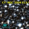 Cl* NGC 2004    ELS      95