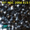 Cl* NGC 2004    ELS      96