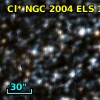Cl* NGC 2004    ELS     115