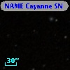 NAME Cayanne SN