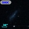 SHOC 515