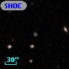 SHOC 264