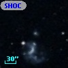 SHOC 591