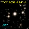 TYC 1031-1262-1