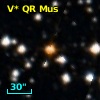 V* QR Mus