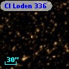 Cl Loden  336