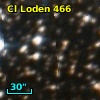 Cl Loden  466