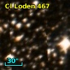 Cl Loden  467