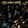 Cl Loden  894