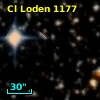 Cl Loden 1177