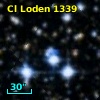 Cl Loden 1339