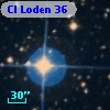 Cl Loden   36