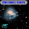 [TBS2007] T1078