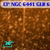 Cl* NGC 6441    GLB 6005308
