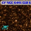 Cl* NGC 6441    GLB 6005934