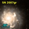 SN 2007gr