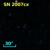 SN 2007cx