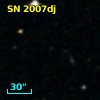 SN 2007dj