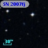 SN 2007fj