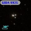 LEDA    8925