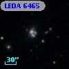 LEDA    6465