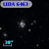 LEDA    6463