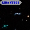 LEDA   65901