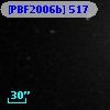 [PBF2006b]  517