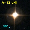 V* TZ UMi