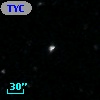 2MASS J11365687+1340337