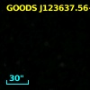 GOODS J123637.56+621240.4
