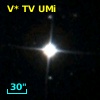 V* TV UMi