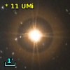 *  11 UMi