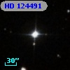 HD 124491