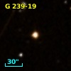 G 239-19