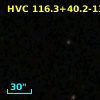 HVC 116.3+40.2-131