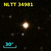 NLTT 34981