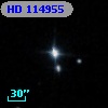 HD 114955