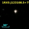 1RXS J123108.5+754947