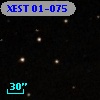 XEST 01-075