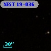 XEST 19-036