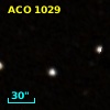 ACO  1029